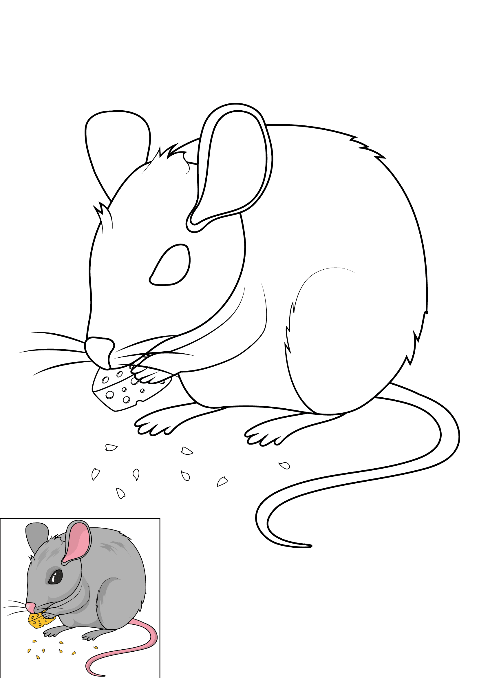 How to Draw A Mouse Step by Step Printable Color