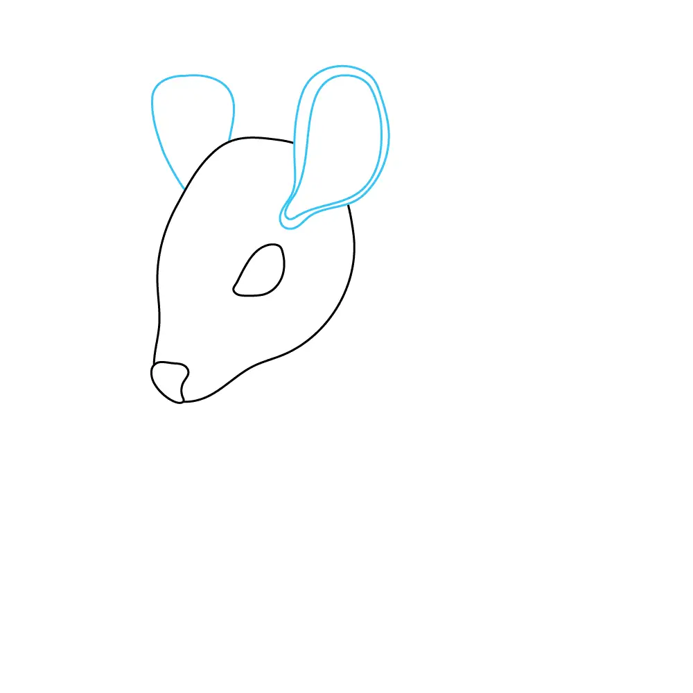 How to Draw A Mouse Step by Step Step  3