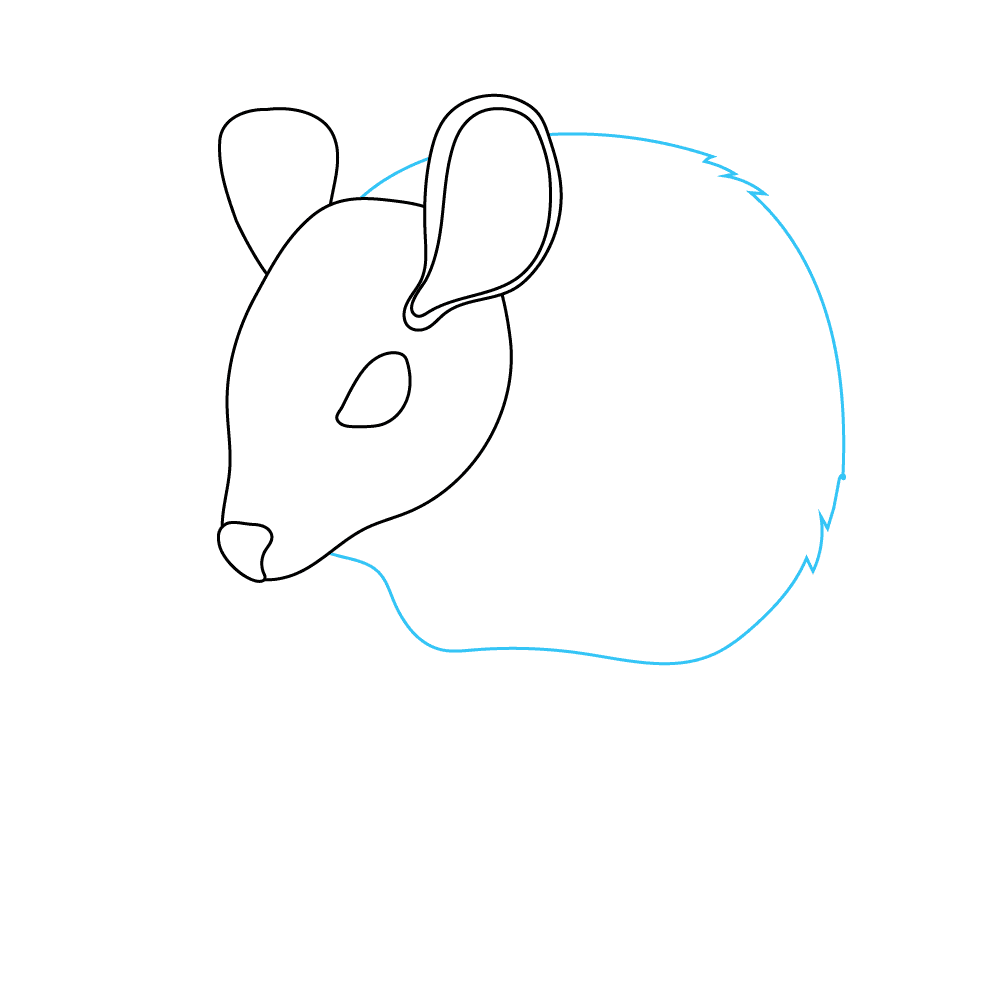How to Draw A Mouse Step by Step Step  4