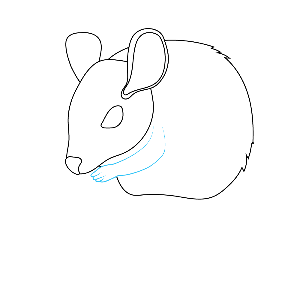 How to Draw A Mouse Step by Step Step  5