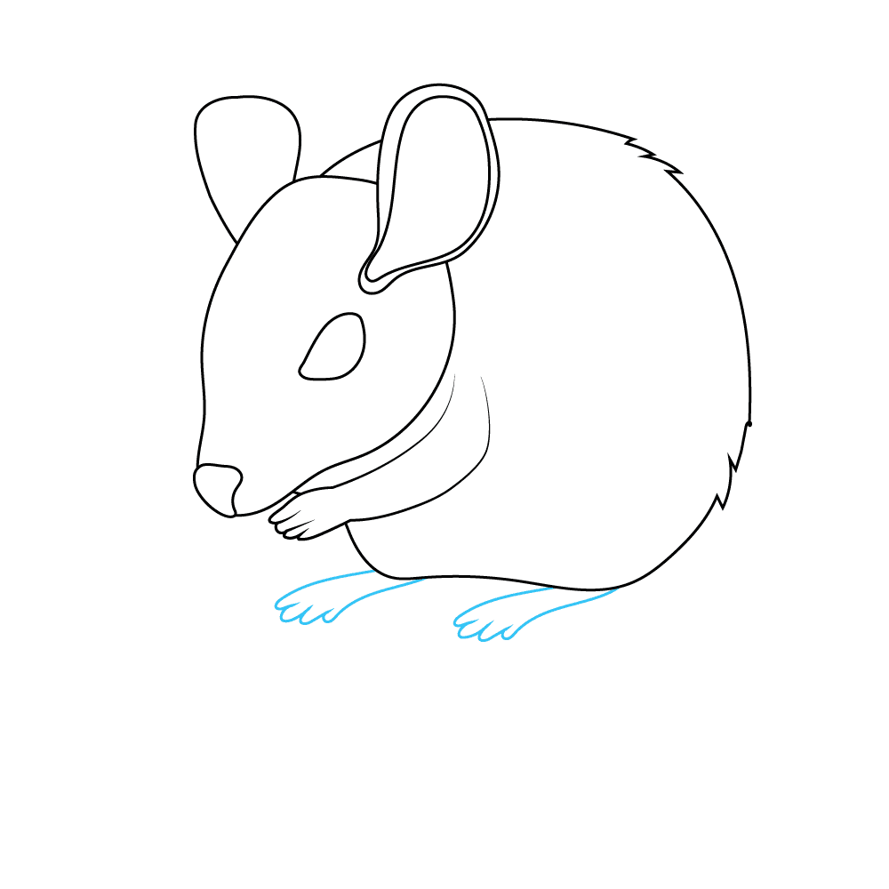 How to Draw A Mouse Step by Step Step  6