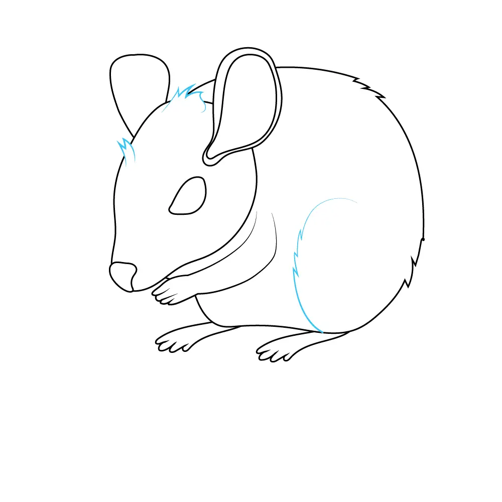 How to Draw A Mouse Step by Step Step  7
