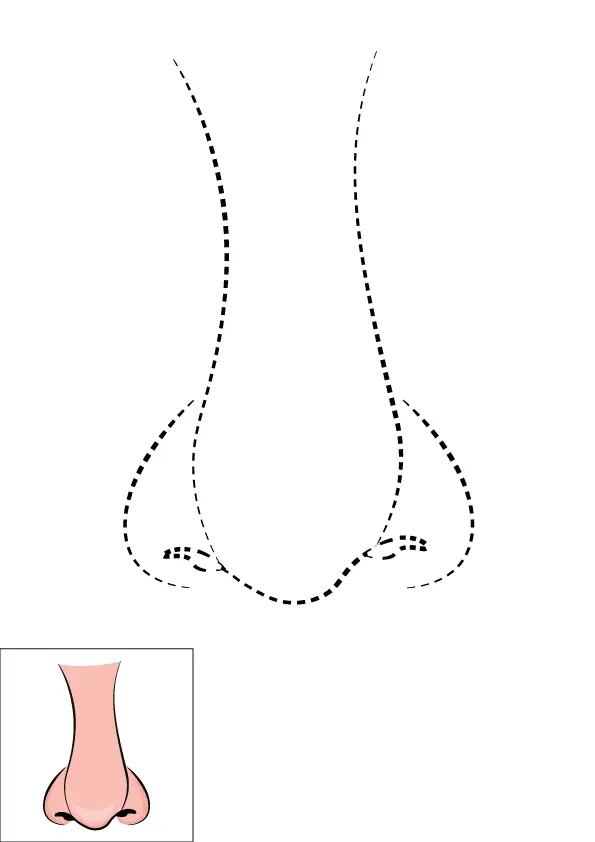 How to Draw A Nose Step by Step Printable Dotted