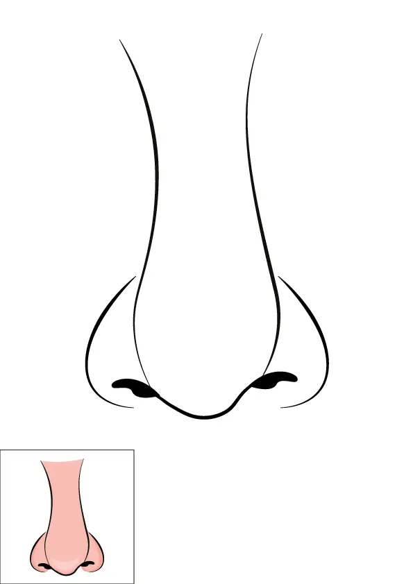 How to Draw A Nose Step by Step Printable Color
