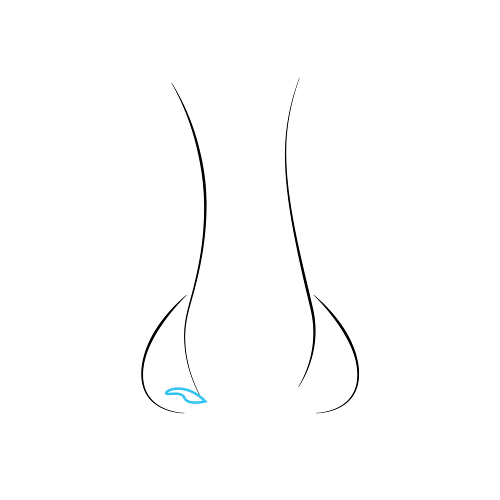 How to Draw A Nose Step by Step Step  5
