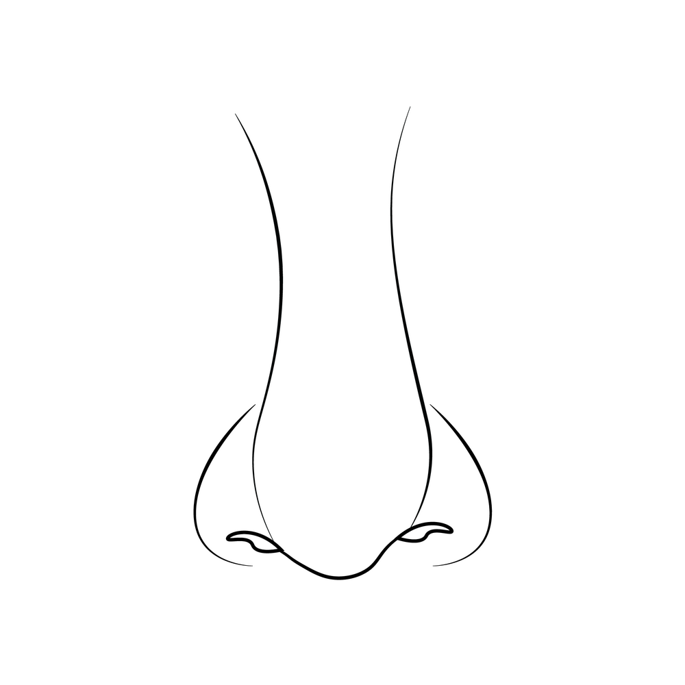 How to Draw A Nose Step by Step Step  8
