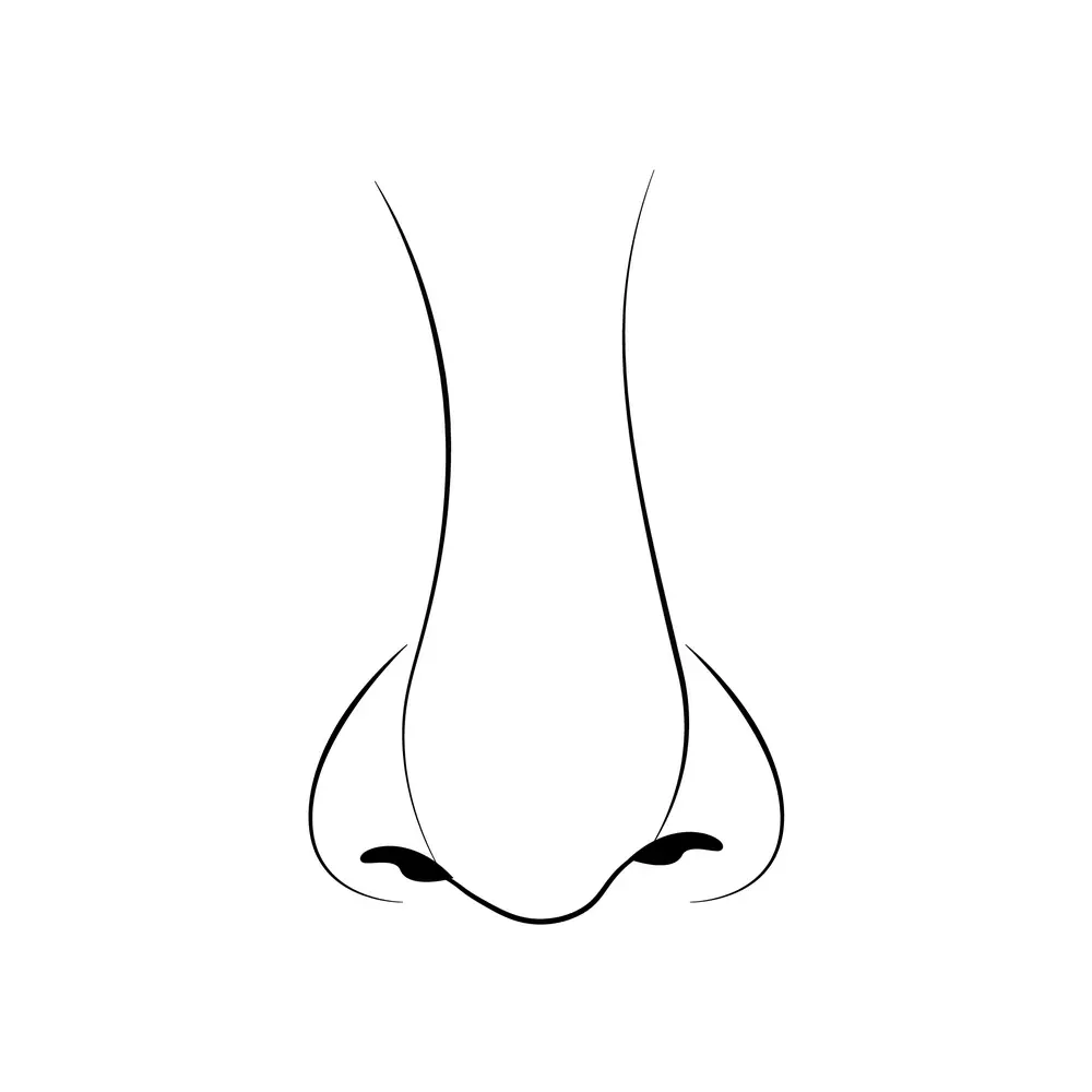 How to Draw A Nose Step by Step Step  9
