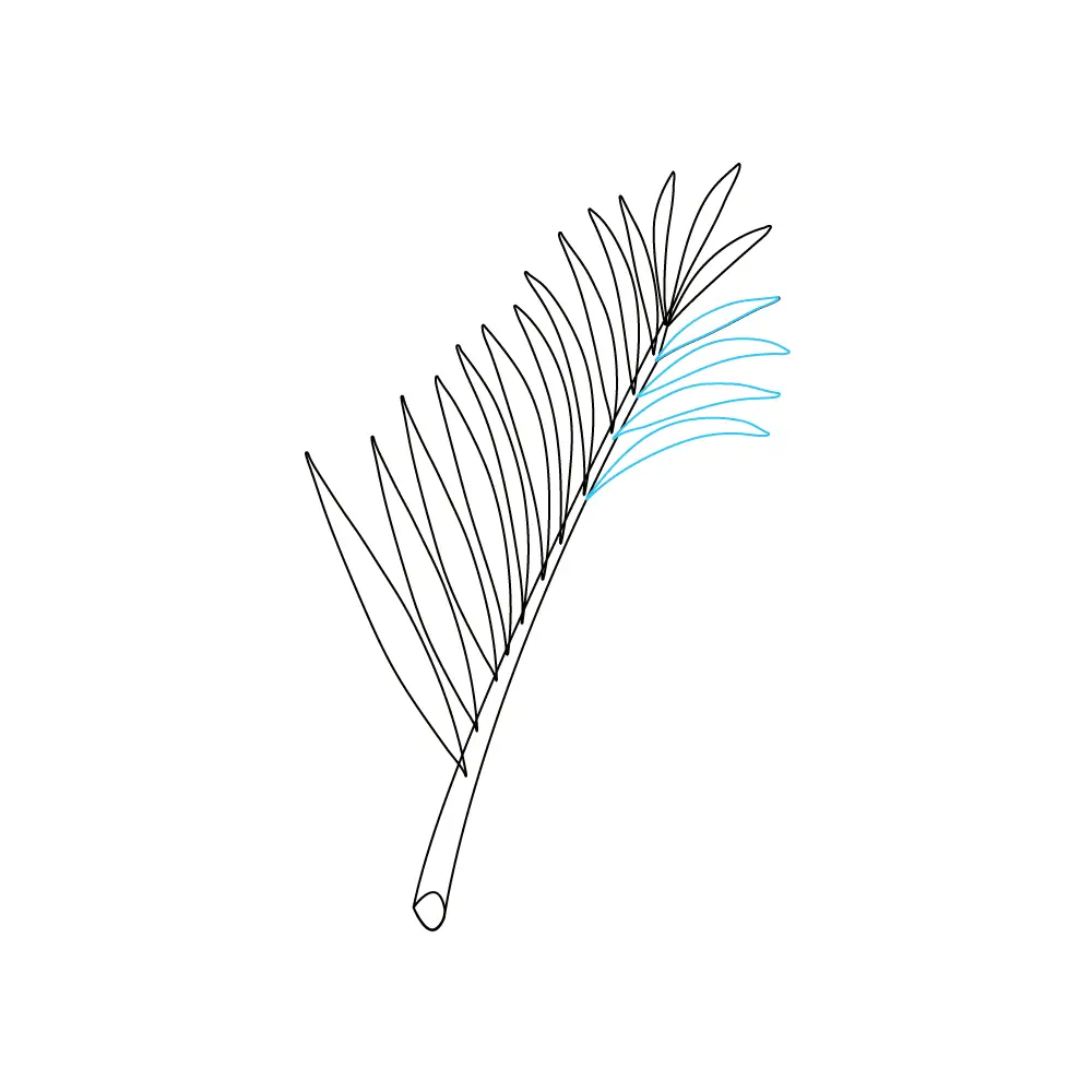 How to Draw A Palm Tree Leaves Step by Step Step  7