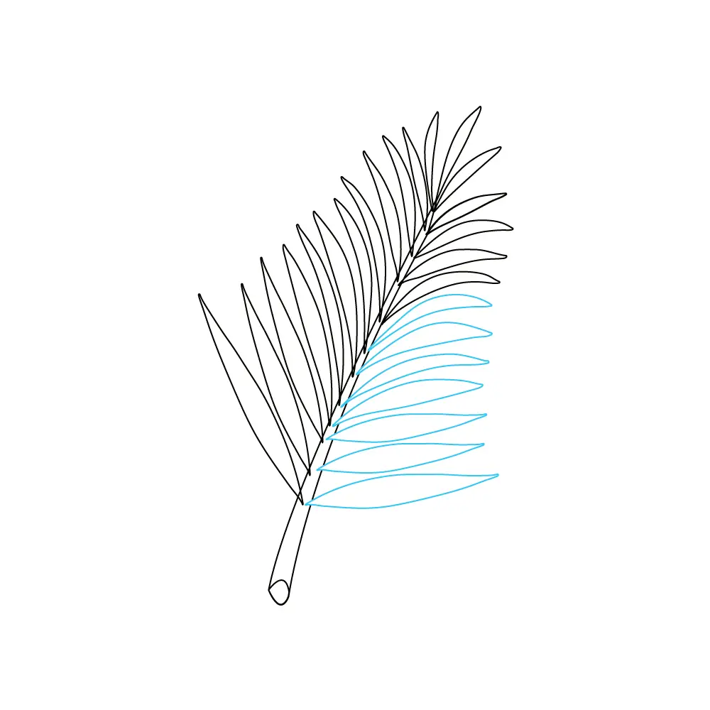 How to Draw A Palm Tree Leaves Step by Step Step  8