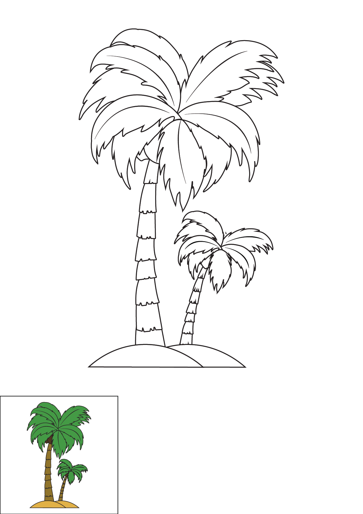 How to Draw A Palm Tree Step by Step Printable Color