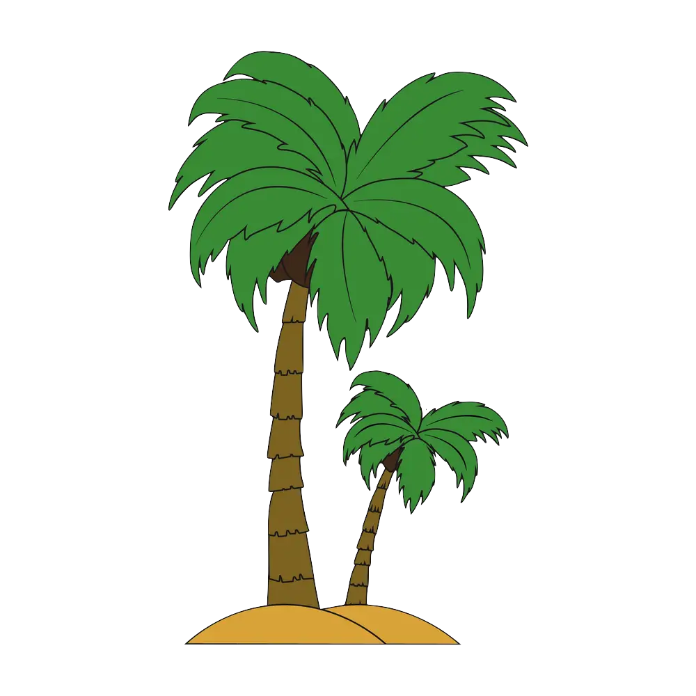 How to Draw A Palm Tree Step by Step Thumbnail