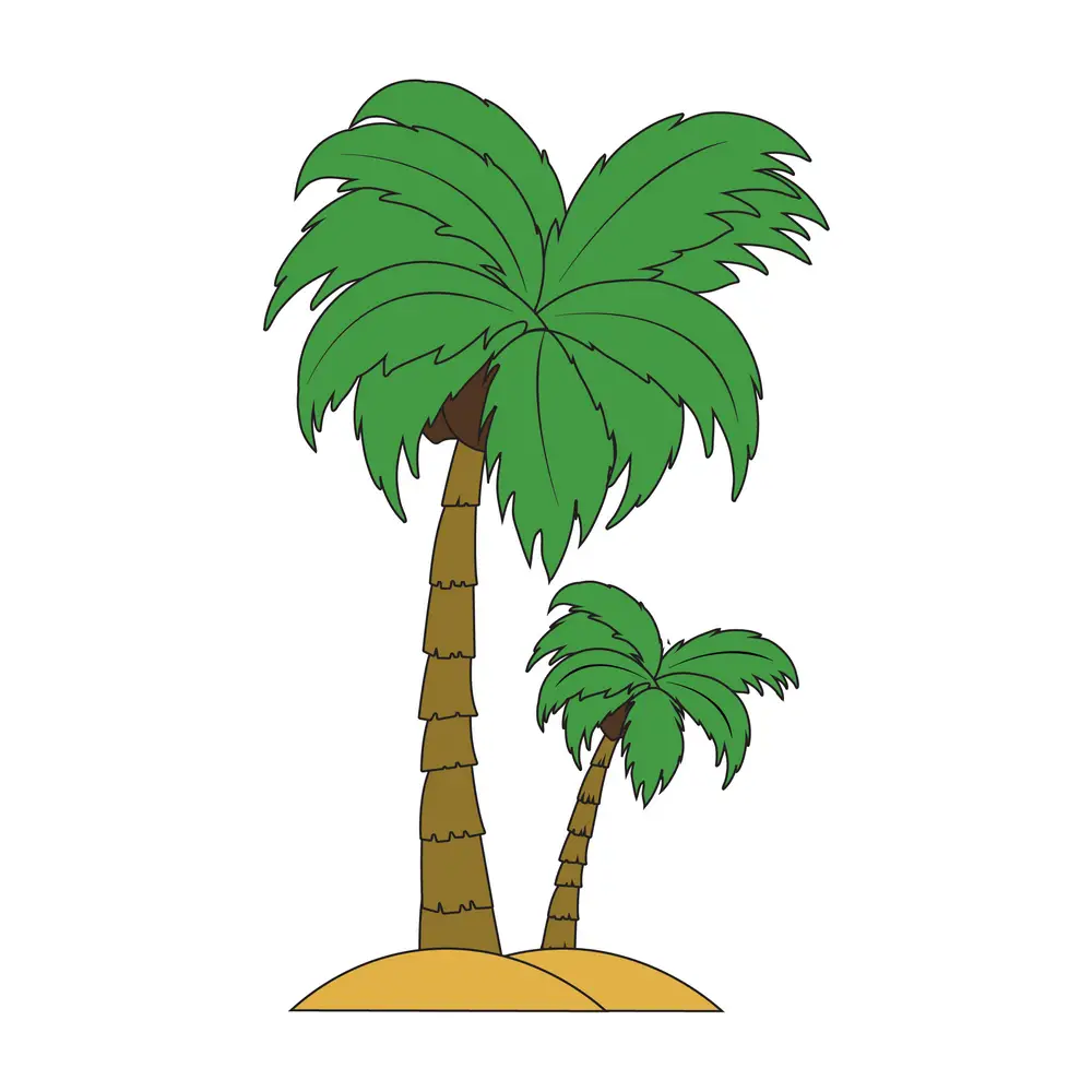 How to Draw A Palm Tree Step by Step Step  10