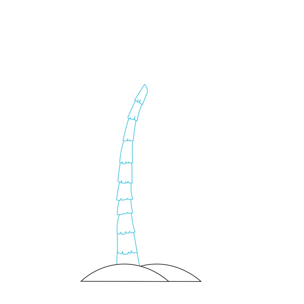 How to Draw A Palm Tree Step by Step Step  2