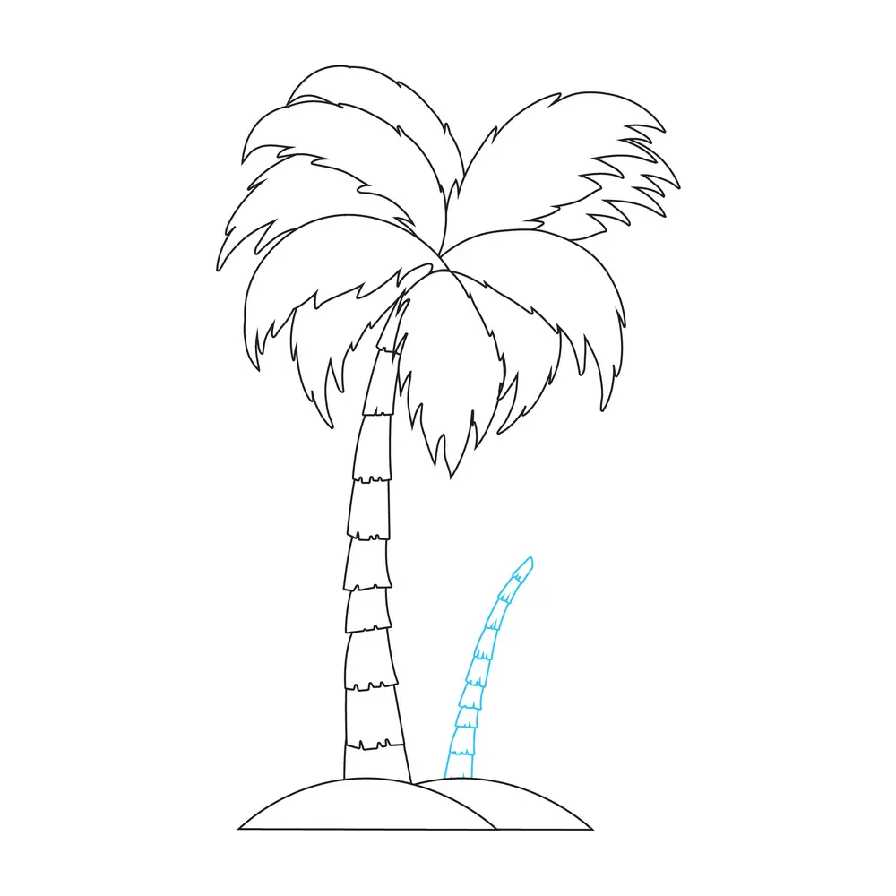 How to Draw A Palm Tree Step by Step Step  5