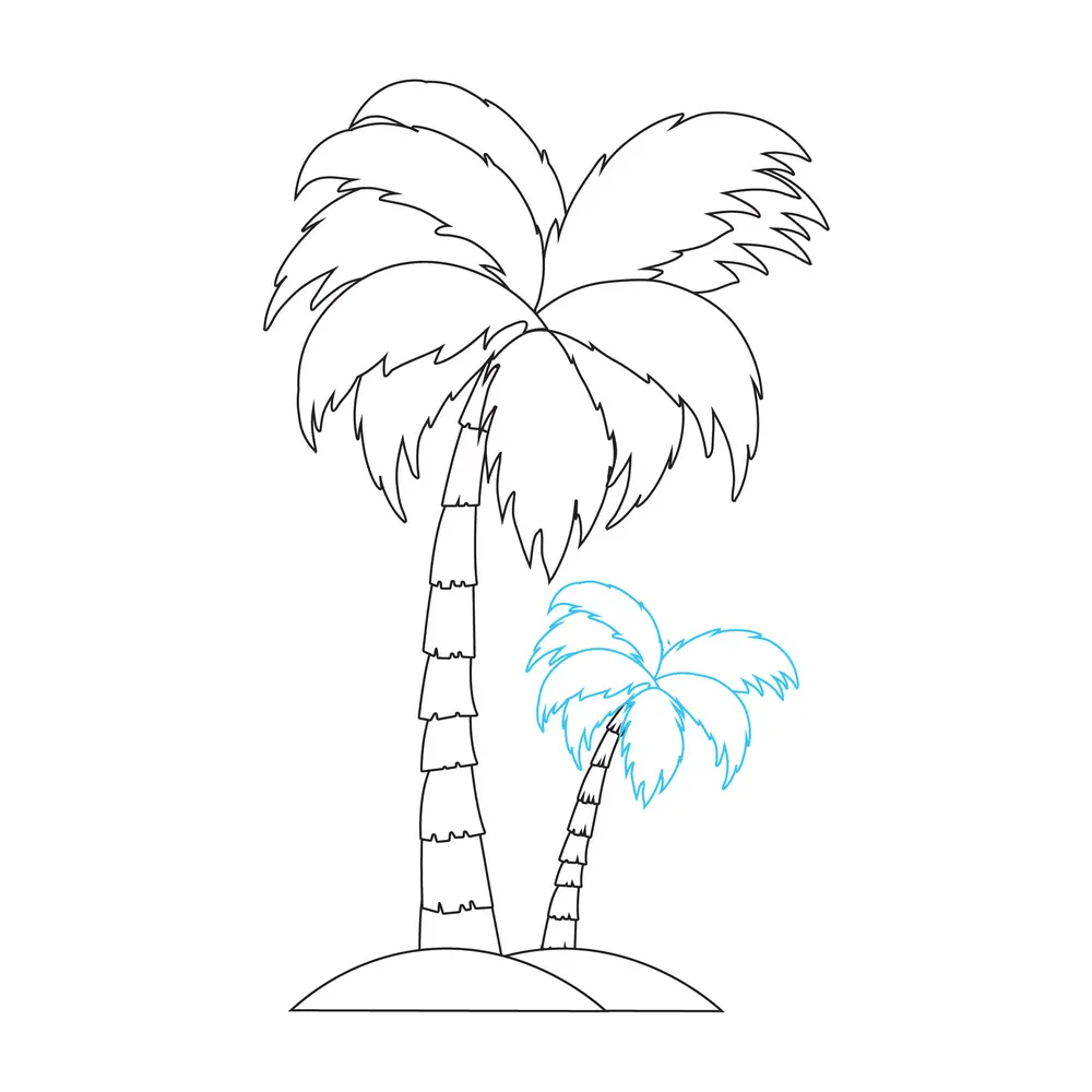 How to Draw A Palm Tree Step by Step Step  6