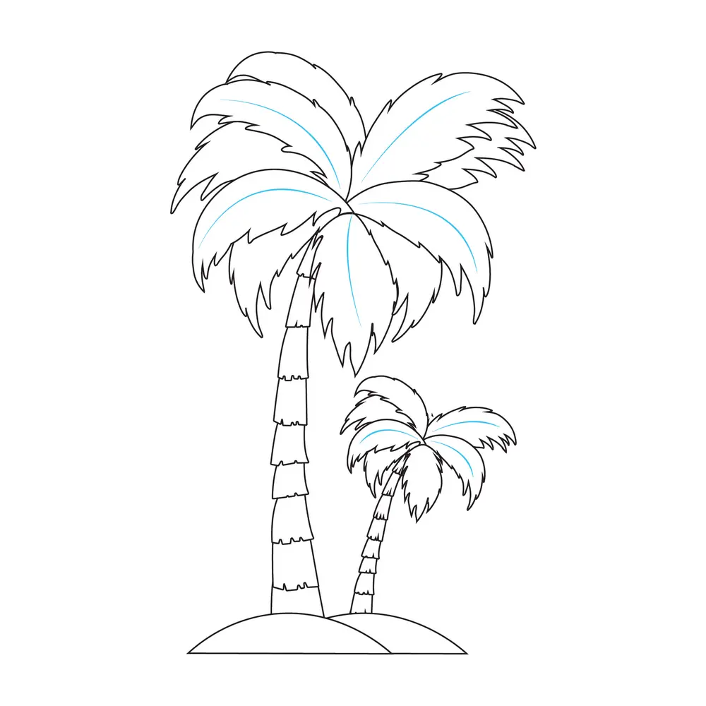 How to Draw A Palm Tree Step by Step Step  7