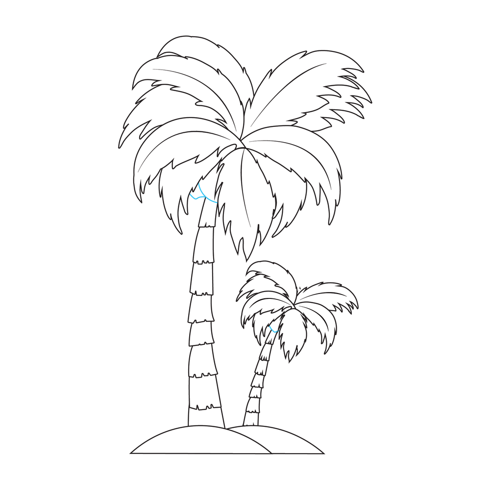 How to Draw A Palm Tree Step by Step Step  8