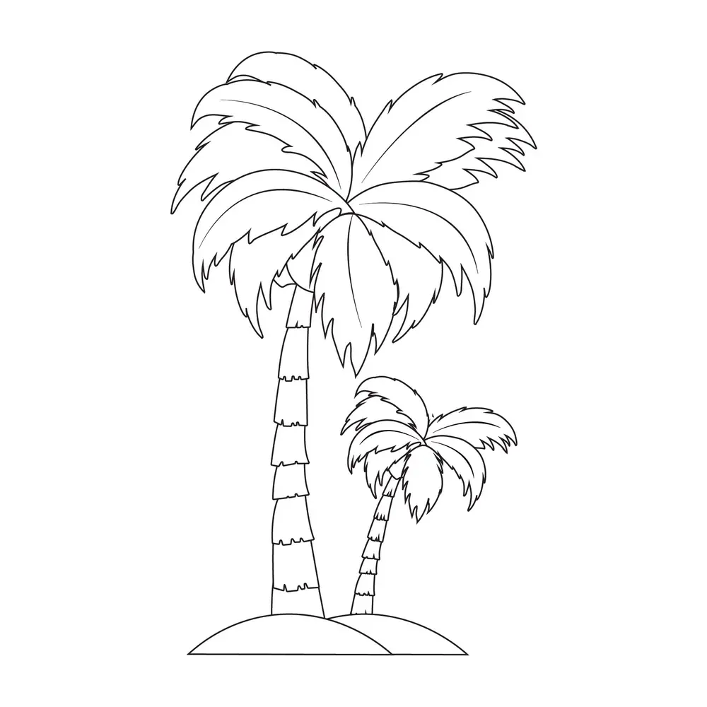 How to Draw A Palm Tree Step by Step Step  9