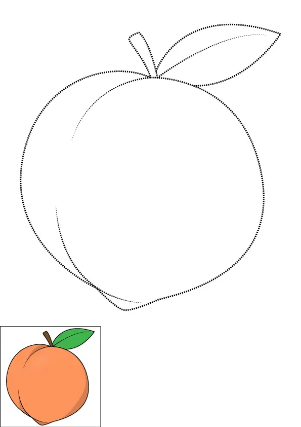 How to Draw A Peach Step by Step Printable Dotted