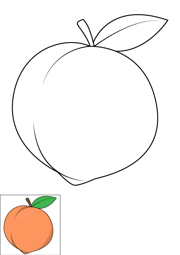 How to Draw A Peach Step by Step Printable Color