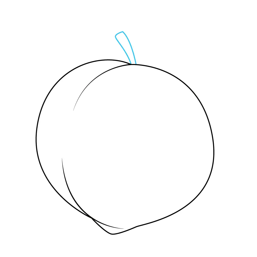 How to Draw A Peach Step by Step Step  7