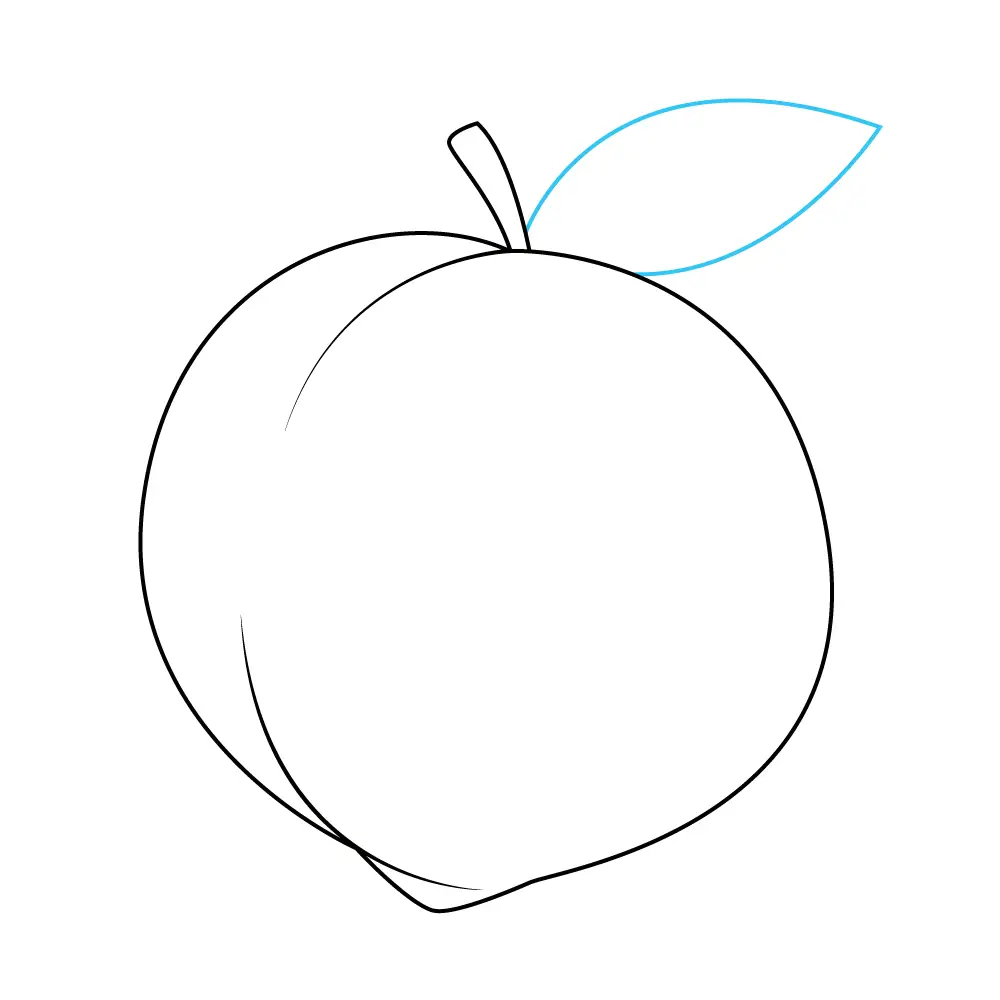 How to Draw A Peach Step by Step Step  8