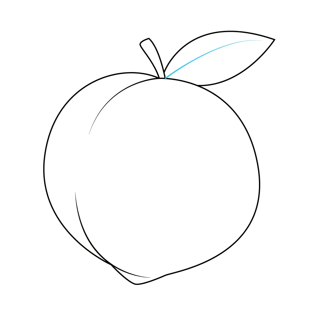 How to Draw A Peach Step by Step Step  9
