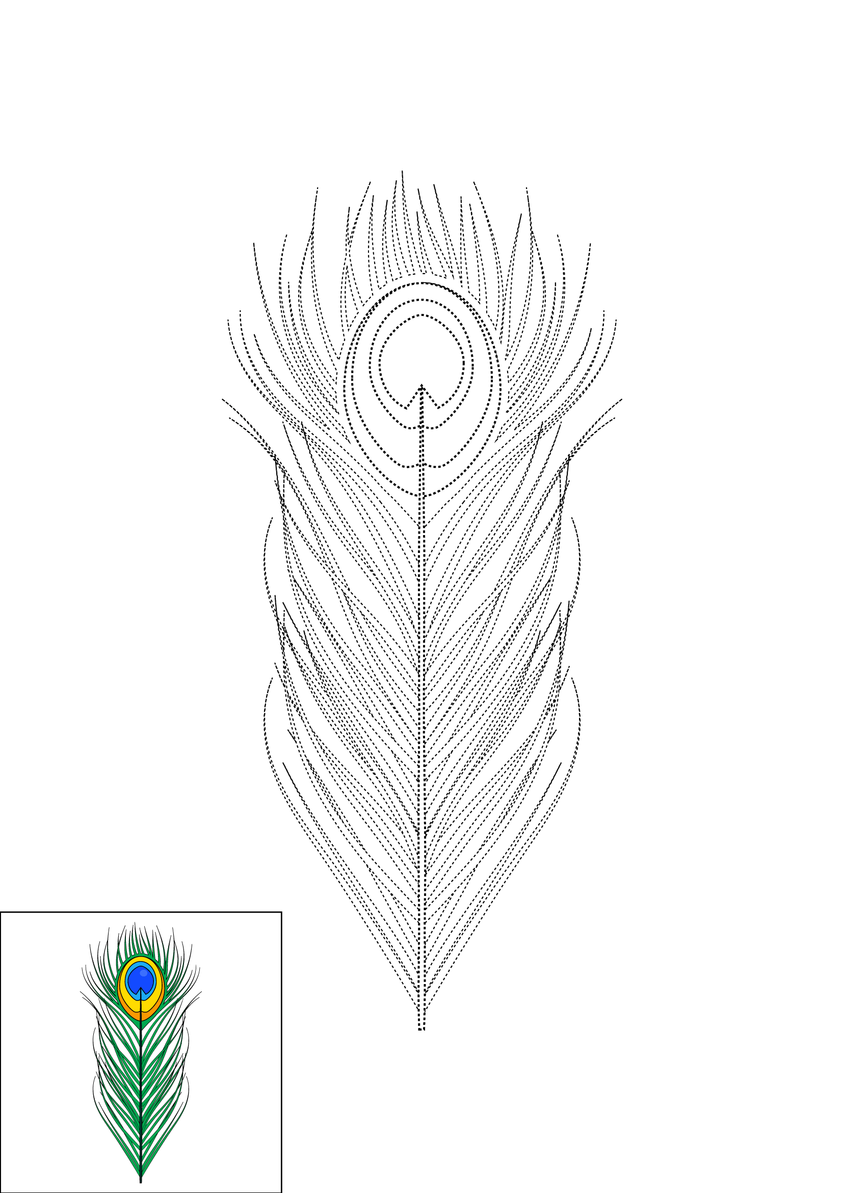 How to Draw A Peacock Feather Step by Step Printable Dotted