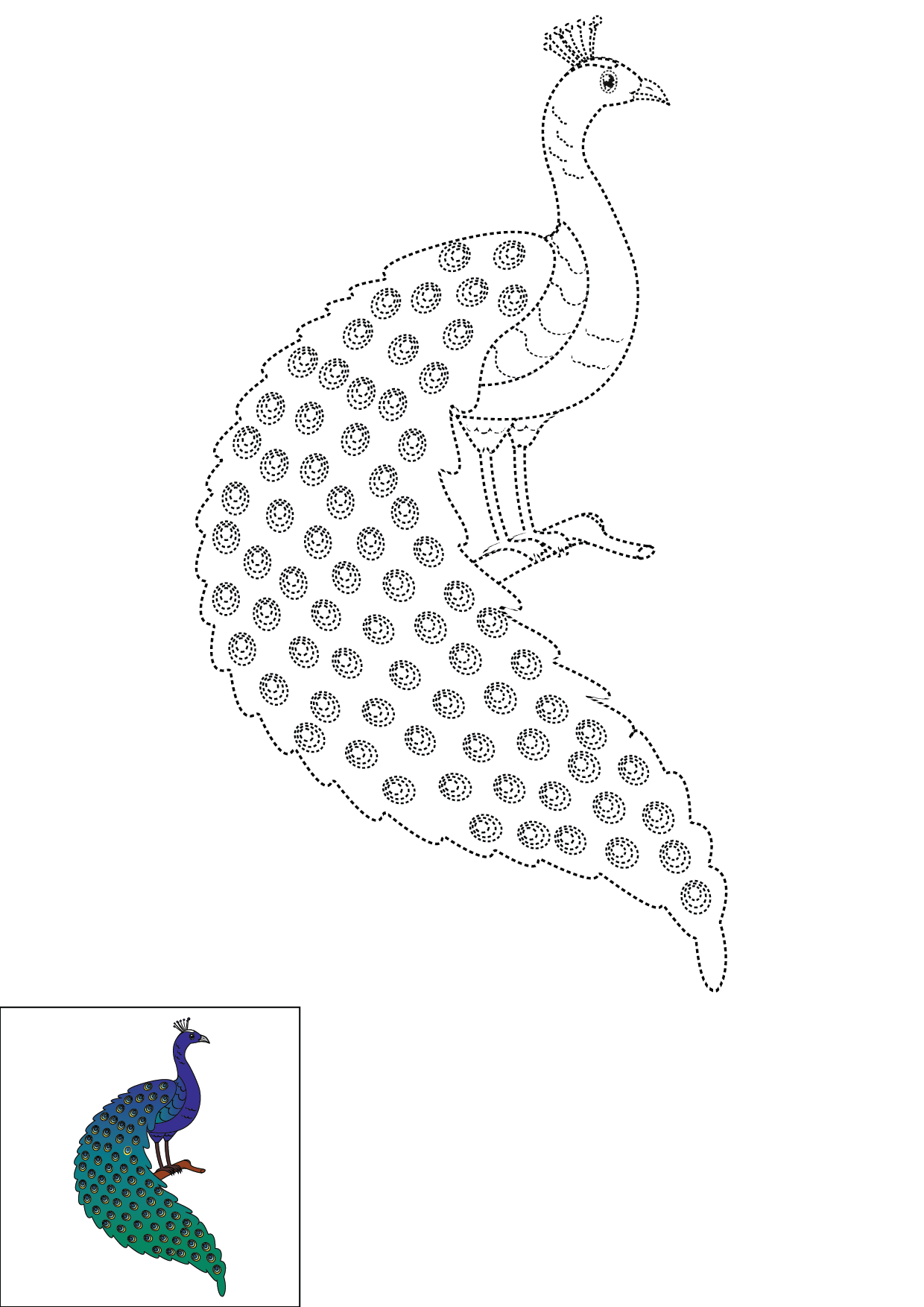 How to Draw A Peacock Step by Step Printable Dotted