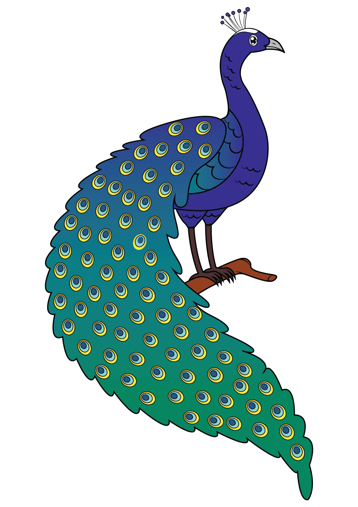 How to Draw A Peacock Step by Step Printable