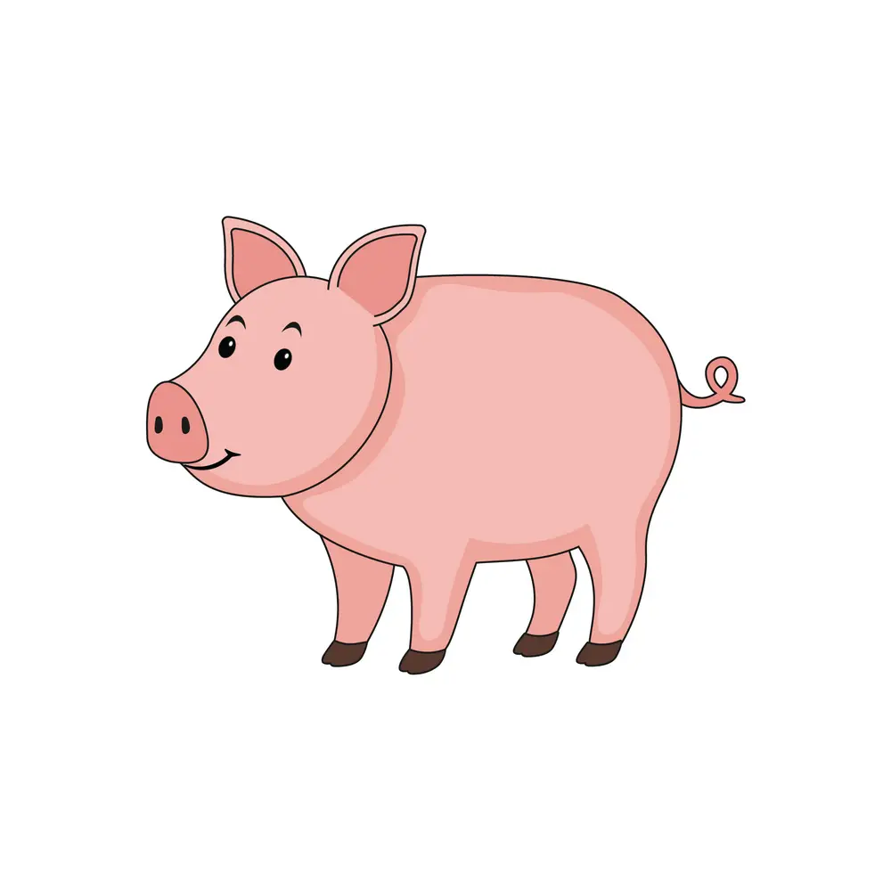 How to Draw A Pig Step by Step Step  10