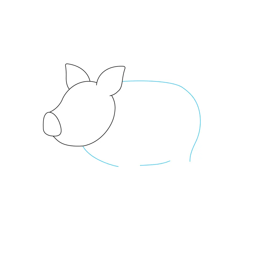 How to Draw A Pig Step by Step Step  3