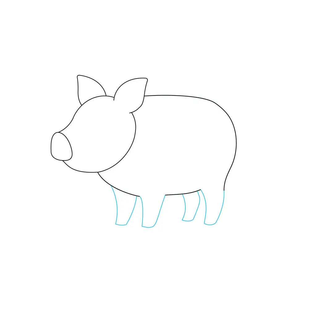How to Draw A Pig Step by Step Step  4