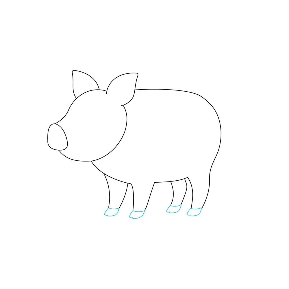 How to Draw A Pig Step by Step Step  5