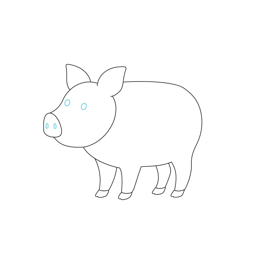 How to Draw A Pig Step by Step Step  6