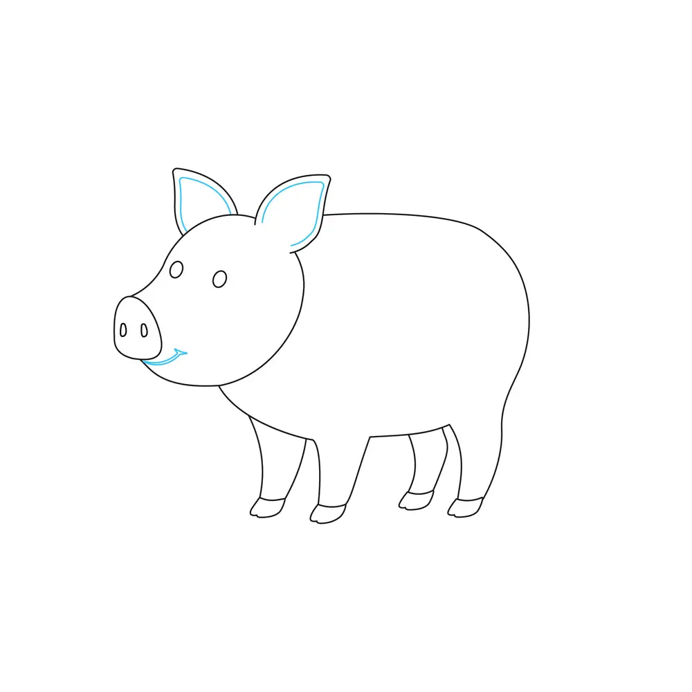 How to Draw A Pig Step by Step Step  7