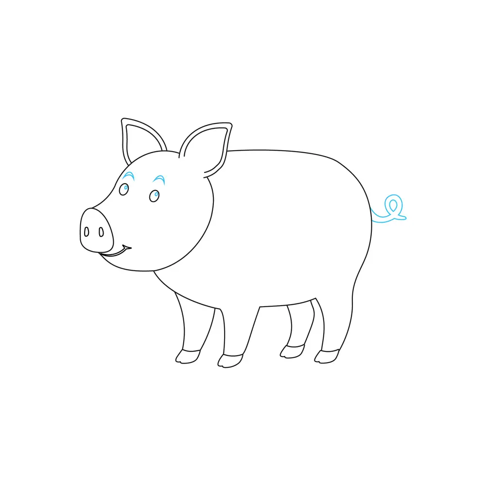 How to Draw A Pig Step by Step Step  8