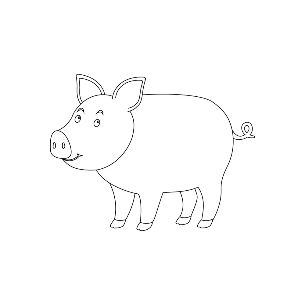 How to Draw A Pig Step by Step Step  9