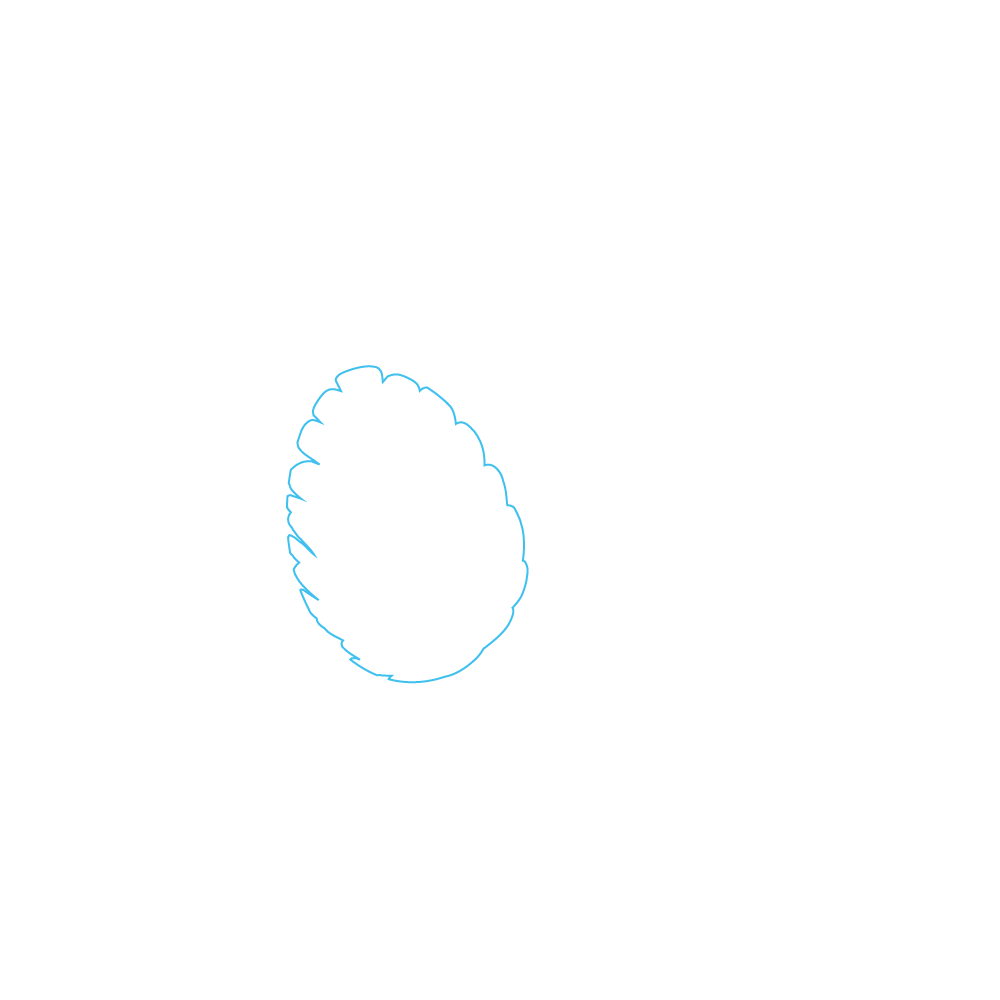 How to Draw A Pine Cone Step by Step Step  1