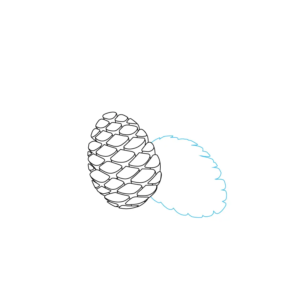 How to Draw A Pine Cone Step by Step Step  4