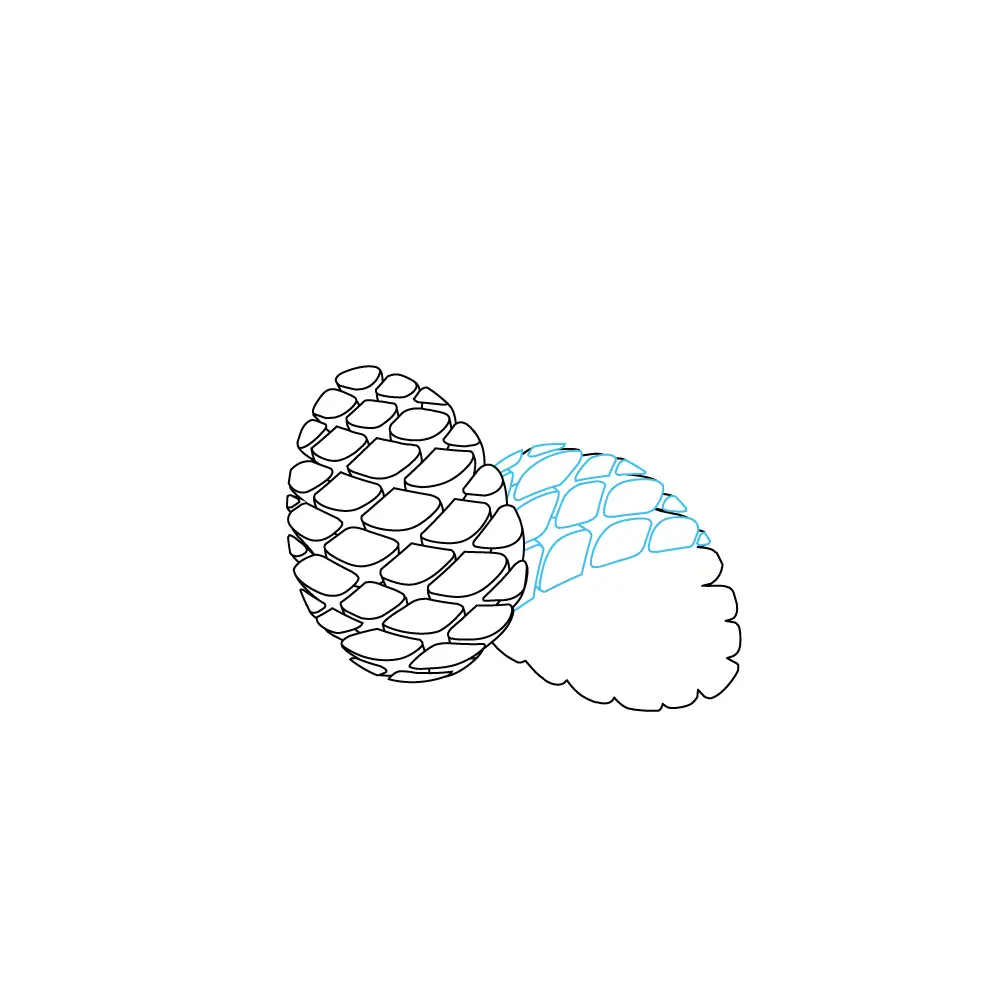 How to Draw A Pine Cone Step by Step Step  5