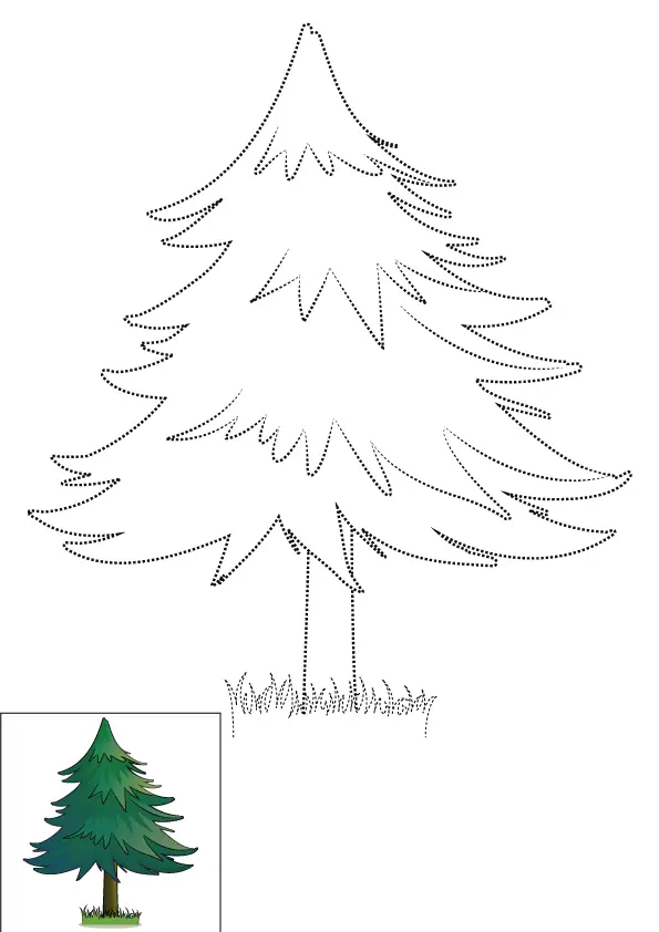 How to Draw A Pine Tree Step by Step Printable Dotted