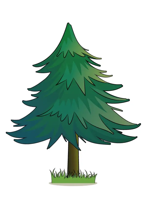How to Draw A Pine Tree Step by Step Printable