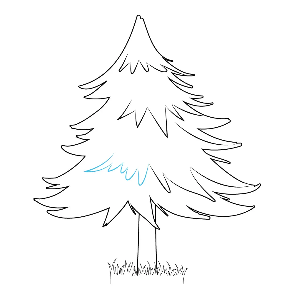 How to Draw A Pine Tree Step by Step Step  10