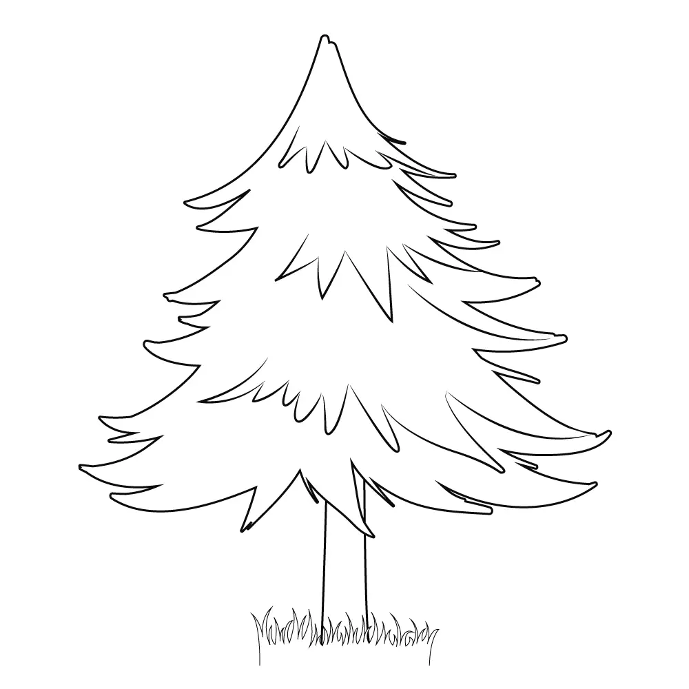 How to Draw A Pine Tree Step by Step Step  11