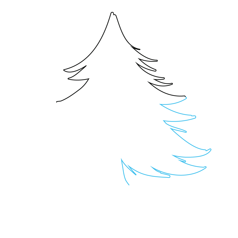 How to Draw A Pine Tree Step by Step Step  3