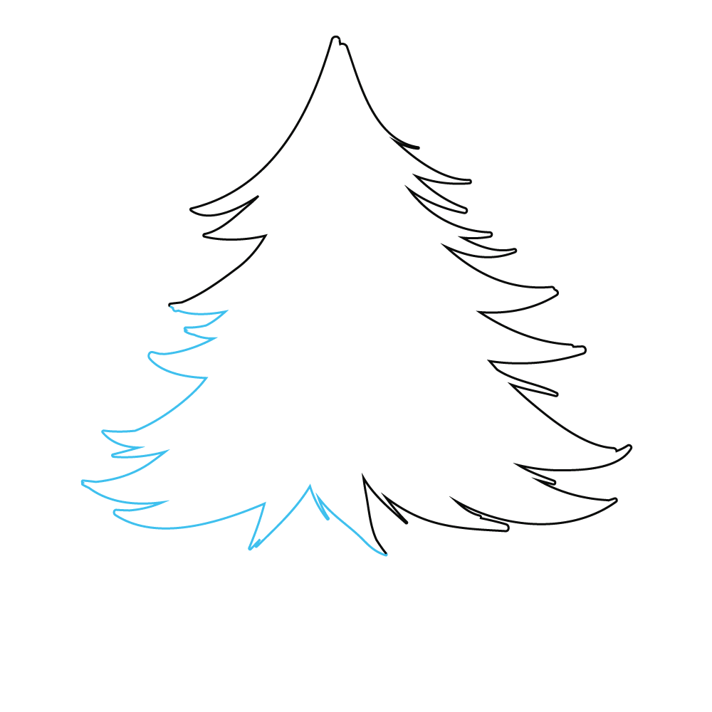 How to Draw A Pine Tree Step by Step Step  4