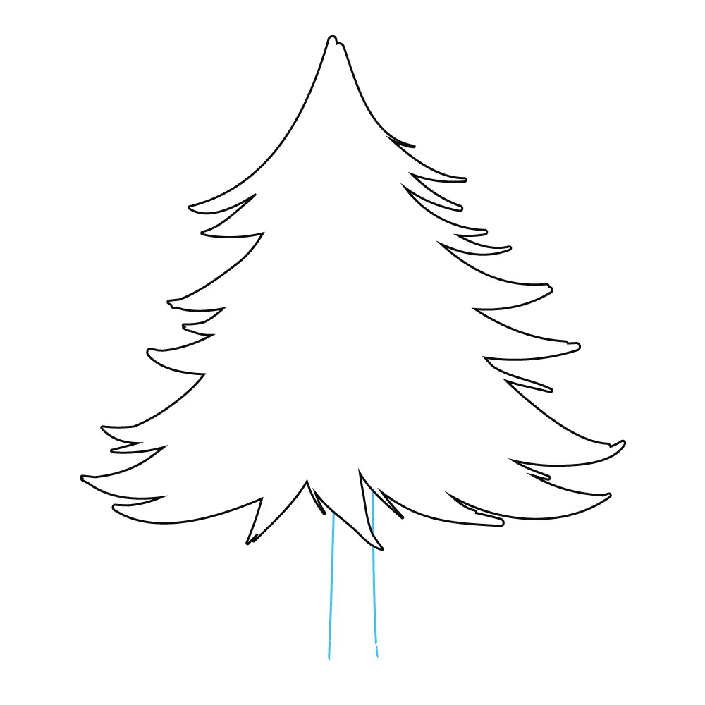 How to Draw A Pine Tree Step by Step