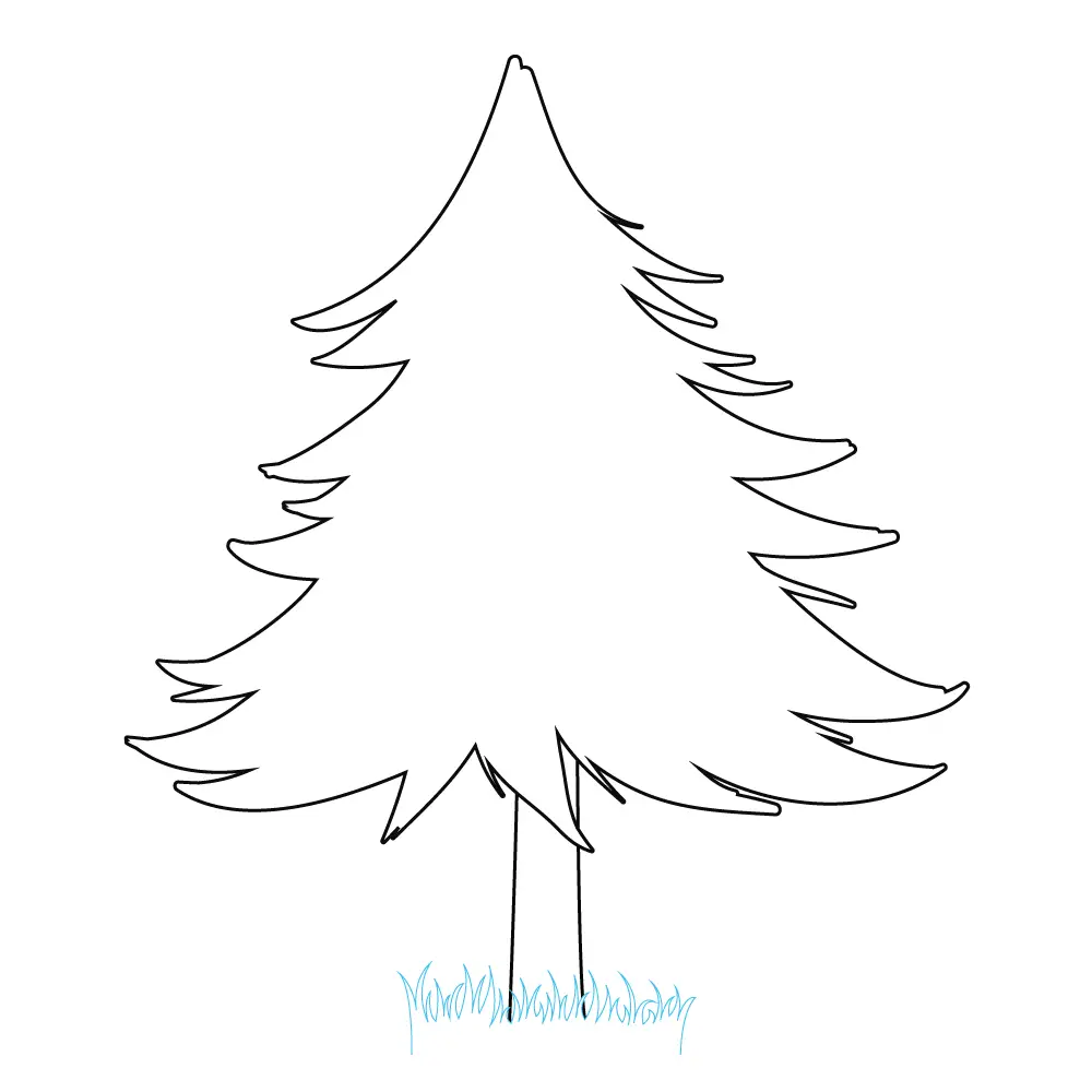 How to Draw A Pine Tree Step by Step Step  6