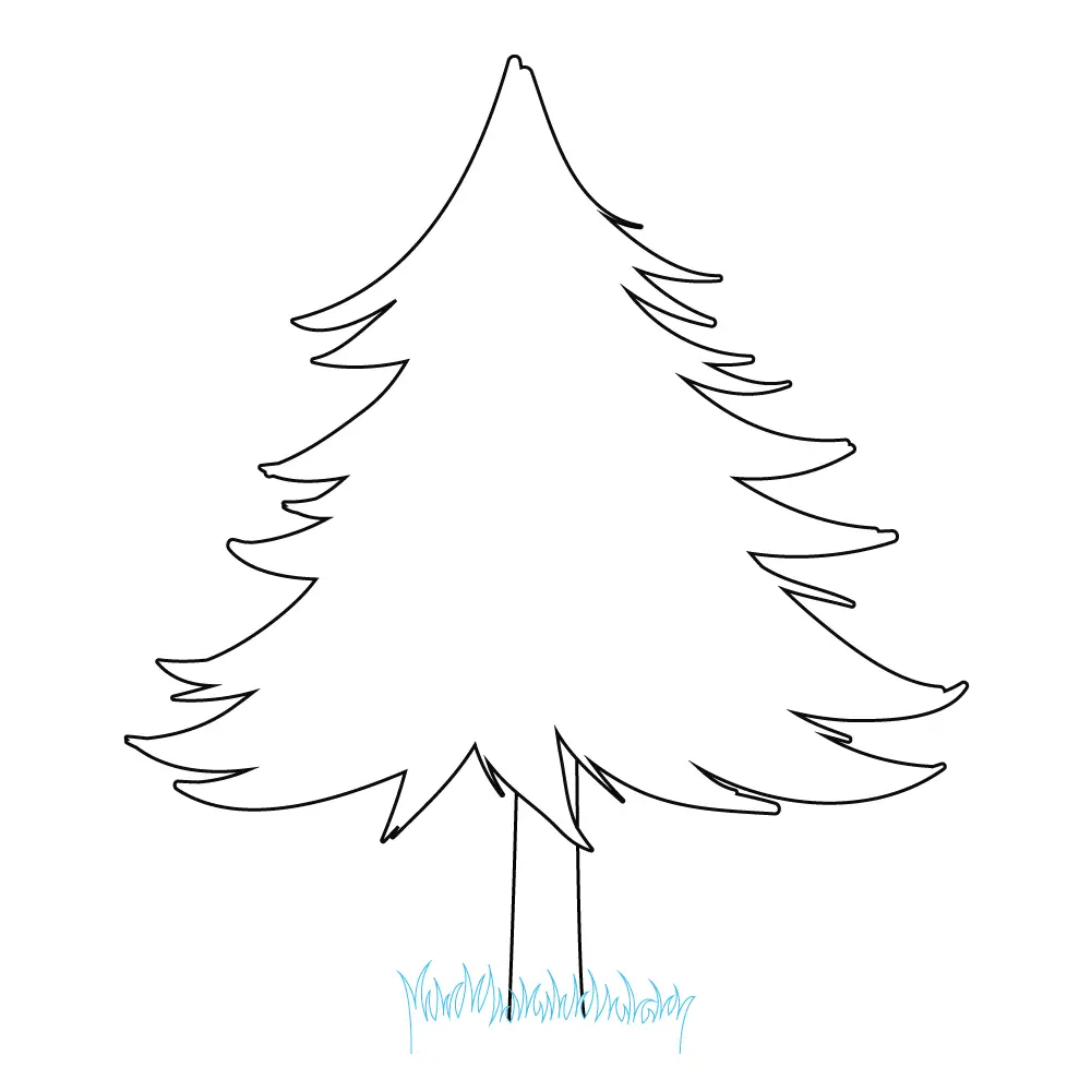 How to Draw A Pine Tree Step by Step